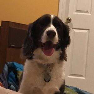 Meet your Posher, Abby